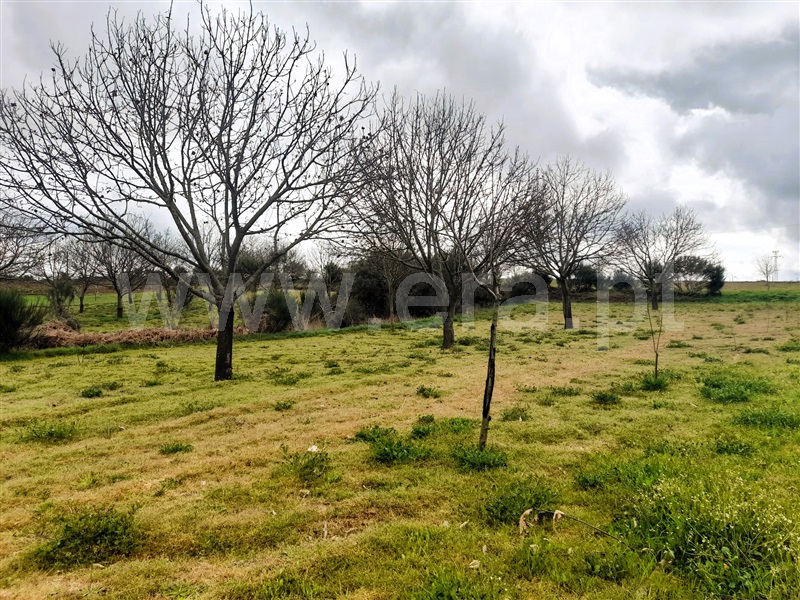 Terreno Rústico  Chaves, Eiras, São Julião de Montenegro e Cela - 1472806 - 2