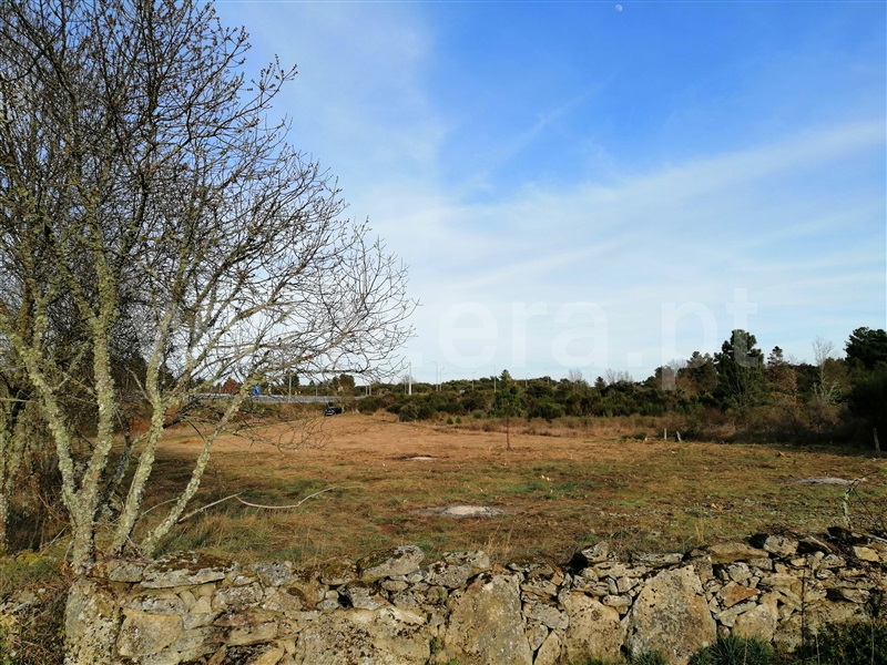 Terreno Rústico / Chaves, Santa Cruz/Trindade e Sanjurge
