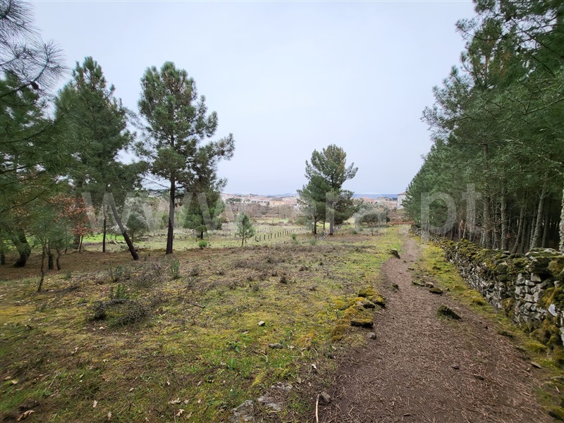 Terreno Rústico  Chaves, Santa Maria Maior - 1236403 - 8
