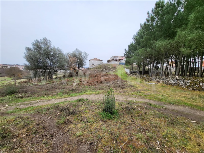 Terreno Rústico / Chaves, Santa Maria Maior