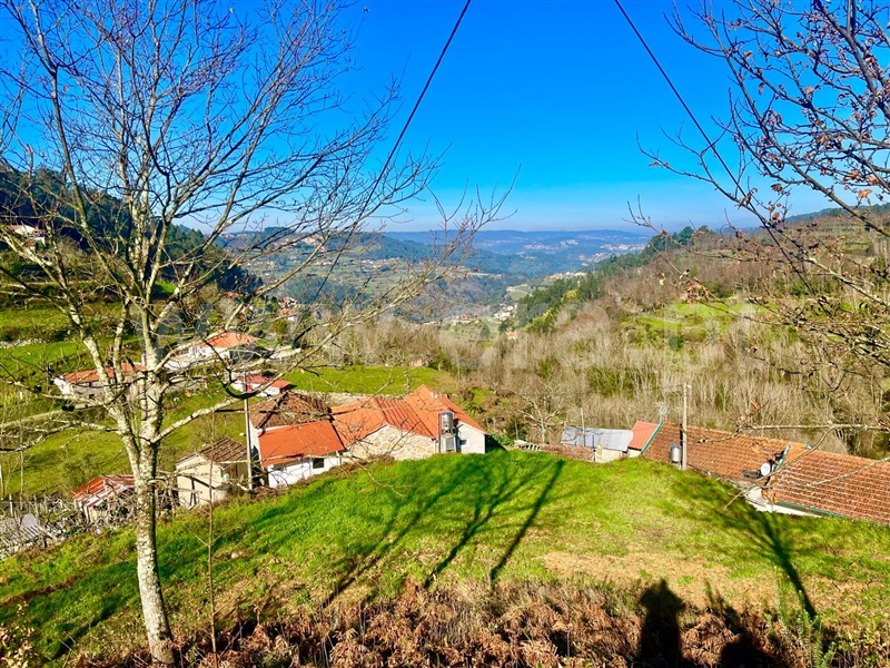 Terreno Rústico / Cinfães, Fornelos
