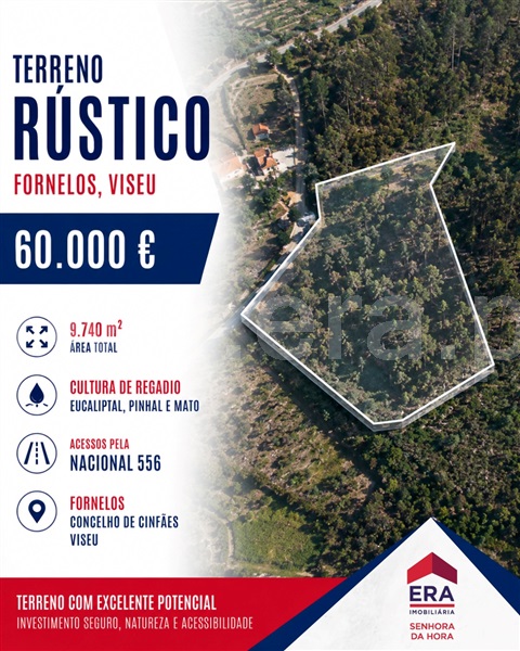 Terreno Rústico / Cinfães, Fornelos