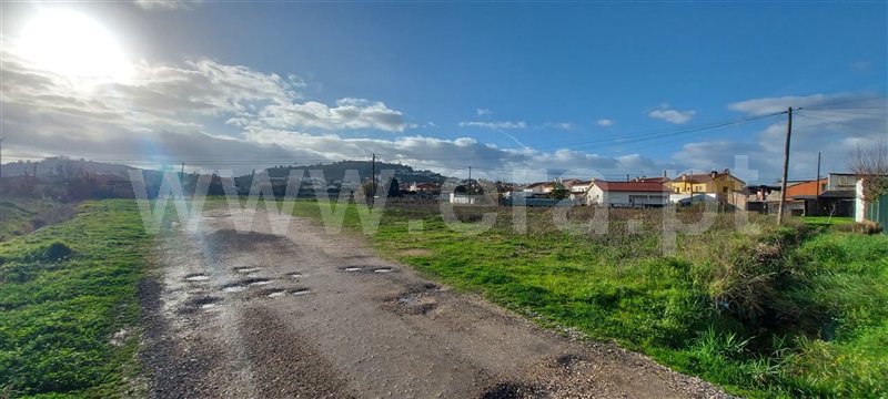 Terreno Rústico / Coimbra, São Martinho do Bispo - Centro