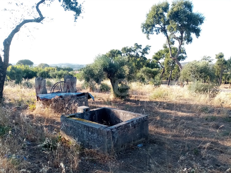 Terreno Rústico  Constância, Constância Sul - 1190655 - 2