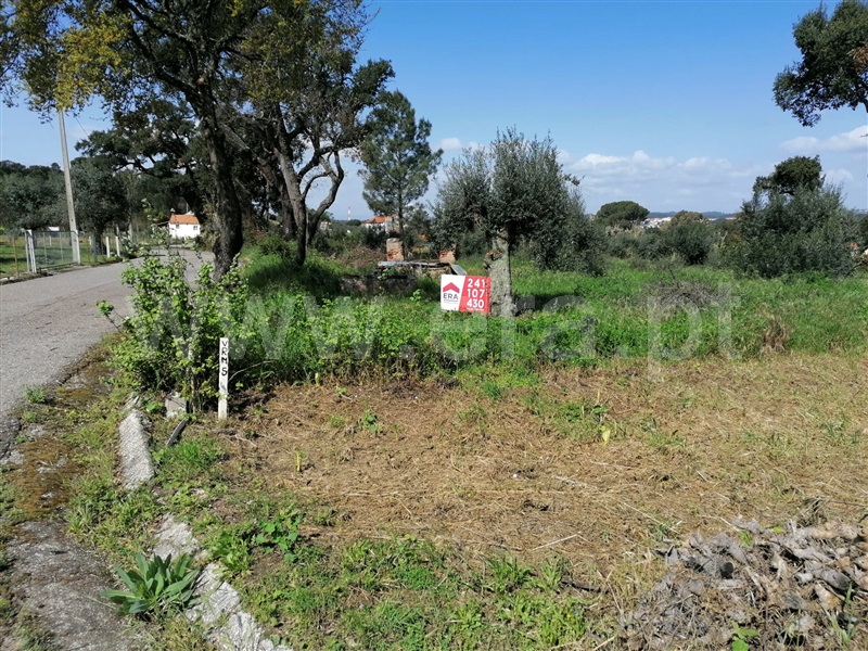 Terreno Rústico / Constância, Constância