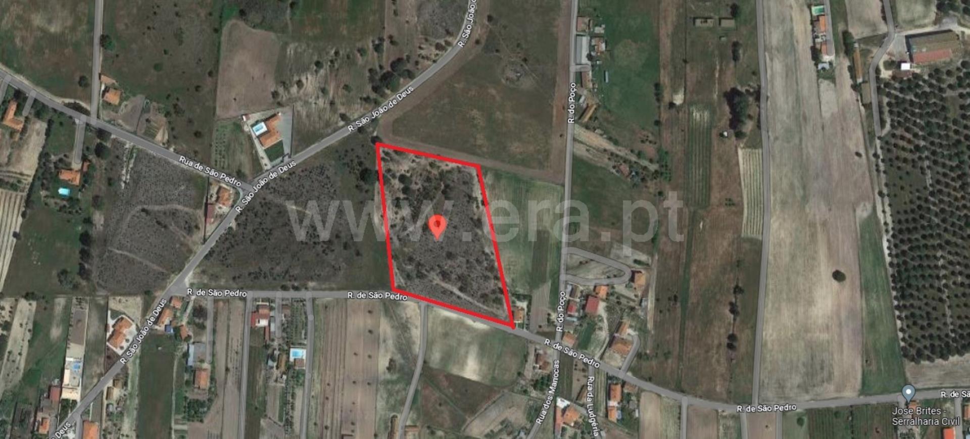 Land for sale in Coruche, Portugal — €180,000