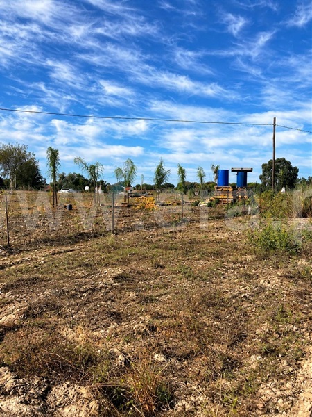Terreno Rústico / Coruche, Coruche, Fajarda e Erra