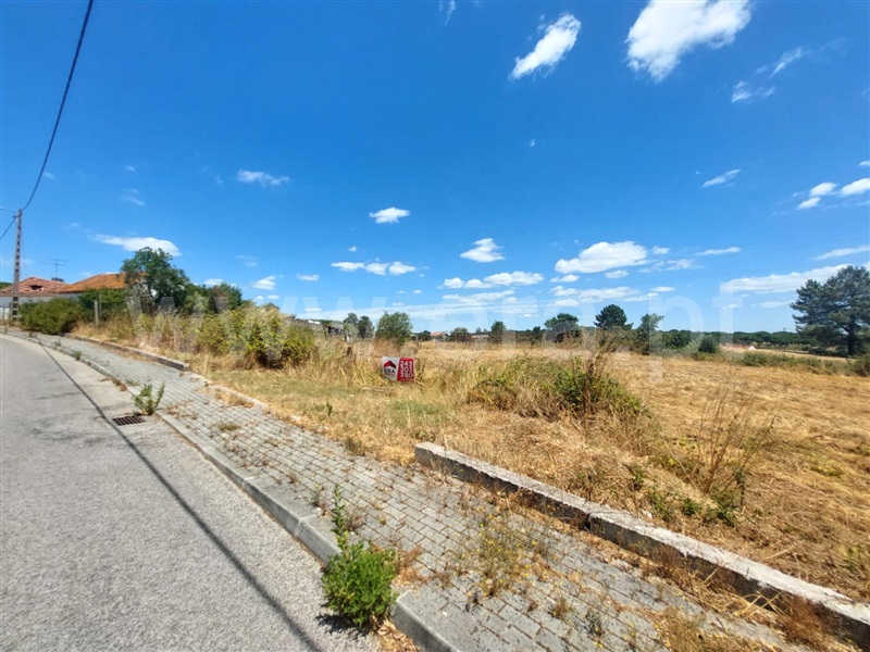 Terreno Rústico / Coruche, Foros do Paúl