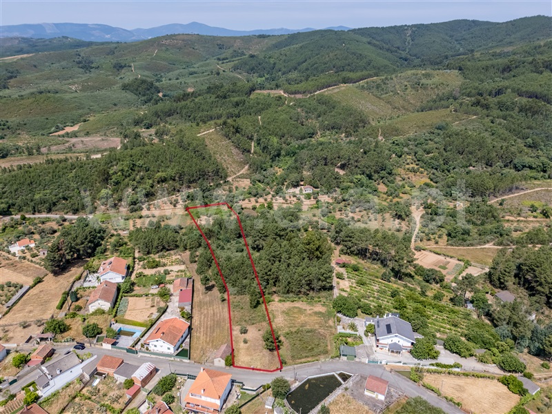 Terreno Rústico  Covilhã, Barco e Coutada - 1489115 - 3
