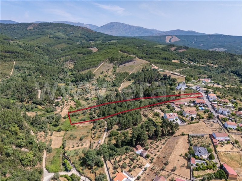 Terreno Rústico  Covilhã, Barco e Coutada - 1489115 - 4