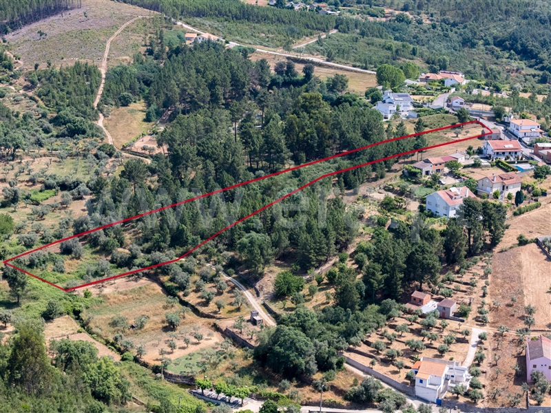 Terreno Rústico  Covilhã, Barco e Coutada - 1489115 - 5