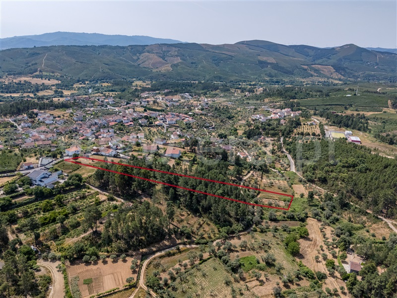 Terreno Rústico  Covilhã, Barco e Coutada - 1489115 - 5