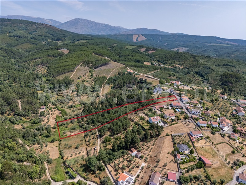Terreno Rústico  Covilhã, Barco e Coutada - 1489115 - 6