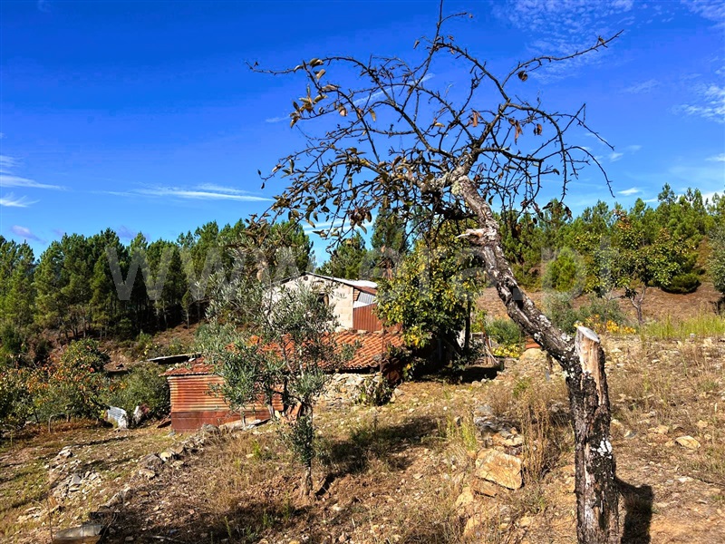 Terreno Rústico  Covilhã, Casegas e Ourondo - 1436133 - 1