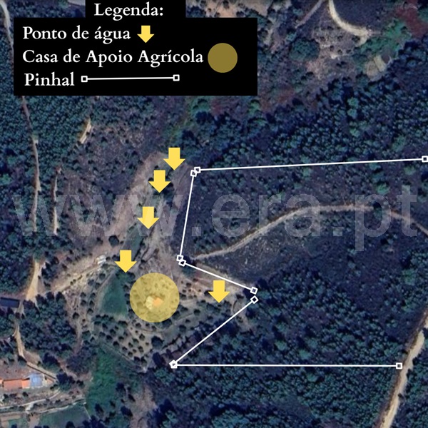 Terreno Rústico  com Agrícola Covilhã, Casegas e Ourondo - 1436133 - 11