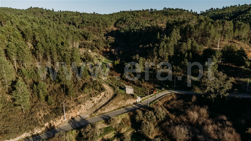Terreno Rústico  Covilhã, Casegas - 1453411 - 3