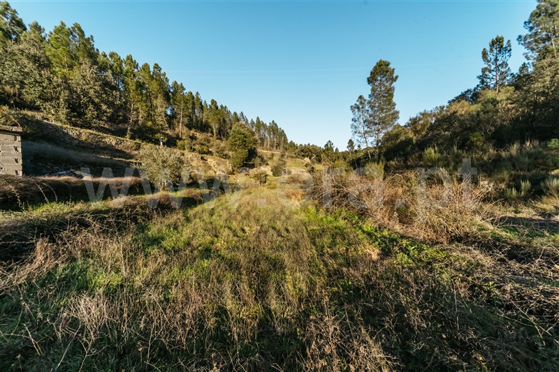 Terreno Rústico  Covilhã, Casegas - 1453411 - 10