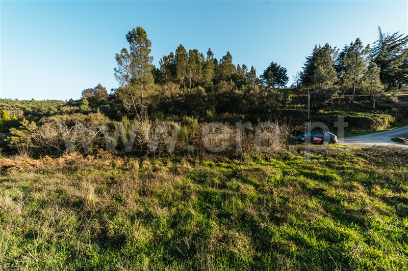 Terreno Rústico  Covilhã, Casegas - 1453411 - 13