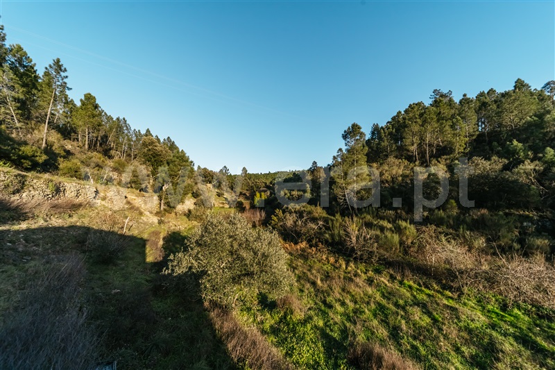 Terreno Rústico  Covilhã, Casegas - 1453411 - 18