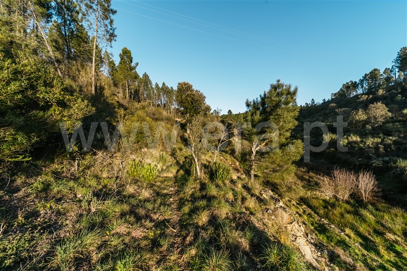 Terreno Rústico  Covilhã, Casegas - 1453411 - 20