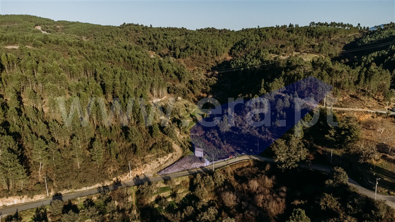 Terreno Rústico  Covilhã, Casegas - 1453411 - 22