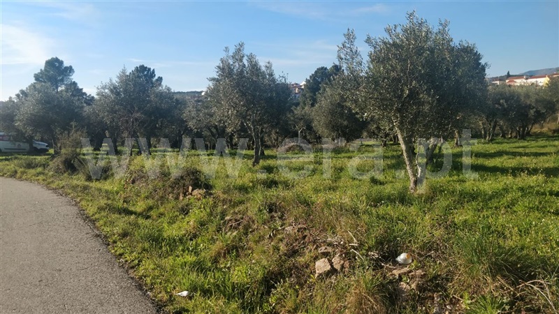 Terreno Rústico  Covilhã, Dominguiso - 1381821 - 5
