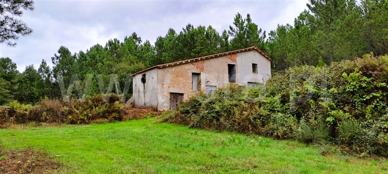 Terreno Rústico  Covilhã, Erada - 1439055 - 4