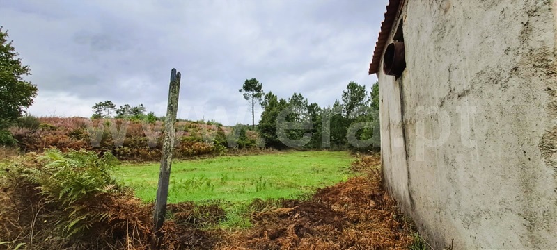 Terreno Rústico  Covilhã, Erada - 1439055 - 5