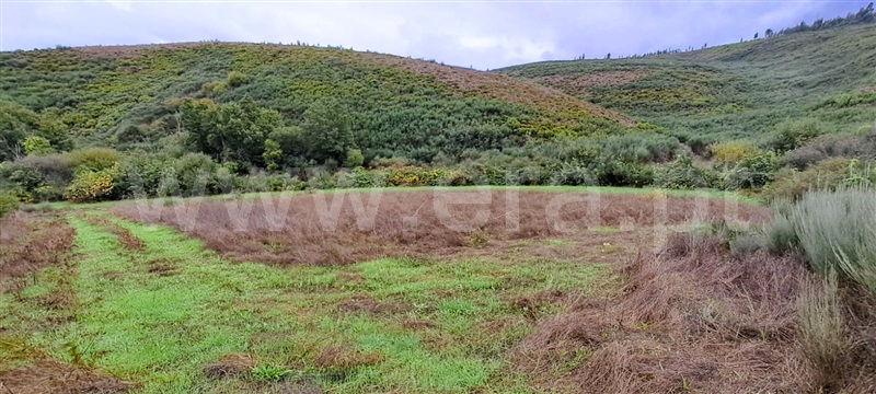 Terreno Rústico  Covilhã, Erada - 1439055 - 10