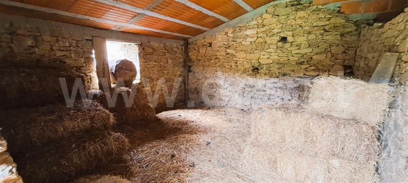 Terreno Rústico  Covilhã, Erada - 1439055 - 11