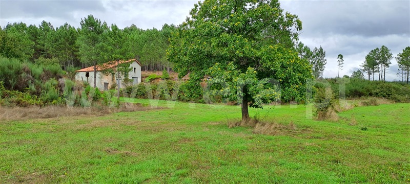 Terreno Rústico / Covilhã, Erada