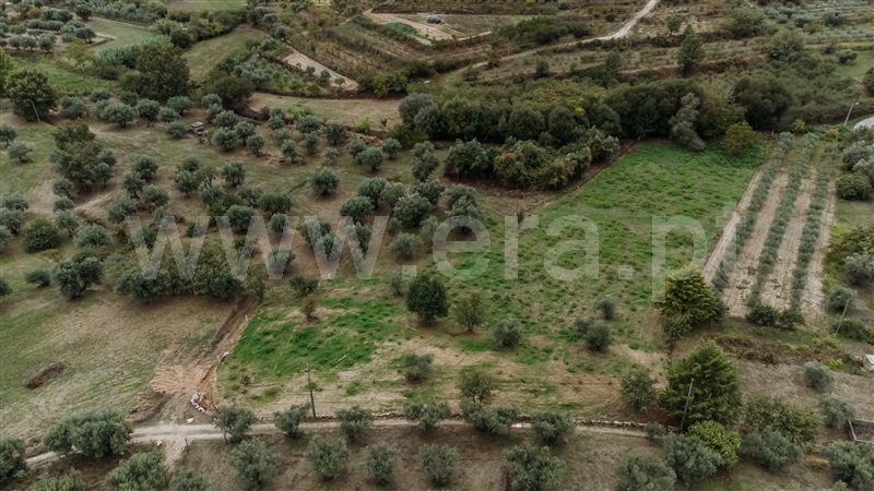 Terreno Rústico  Covilhã, Ferro - 1437780 - 1