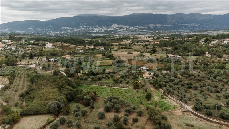 Terreno Rústico  Covilhã, Ferro - 1437780 - 7