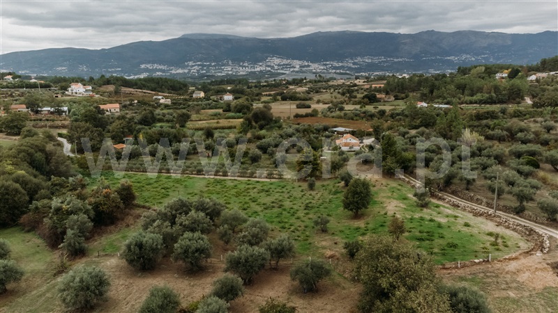 Terreno Rústico  Covilhã, Ferro - 1437780 - 9

