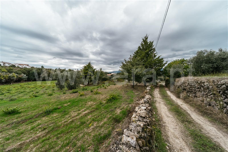 Terreno Rústico  Covilhã, Ferro - 1437780 - 11