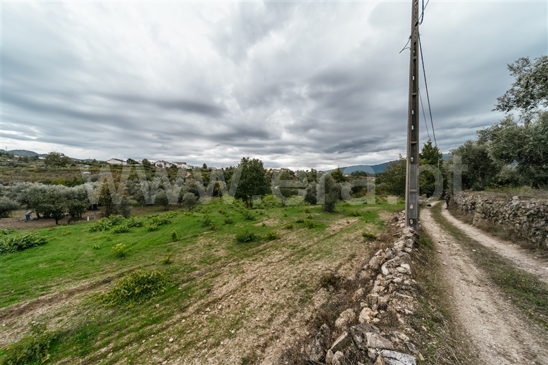 Terreno Rústico  Covilhã, Ferro - 1437780 - 12