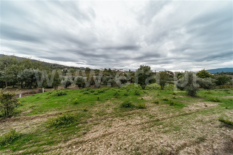 Terreno Rústico  Covilhã, Ferro - 1437780 - 13