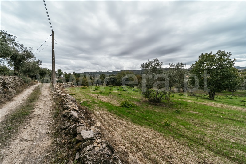 Terreno Rústico  Covilhã, Ferro - 1437780 - 14