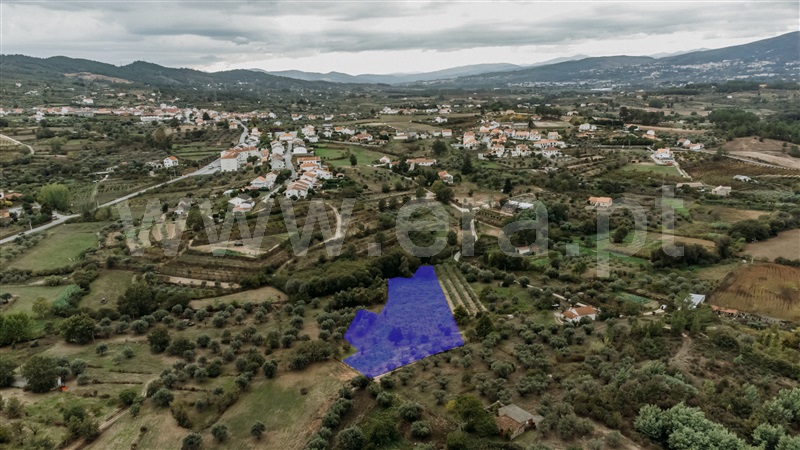 Terreno Rústico  Covilhã, Ferro - 1437780 - 15