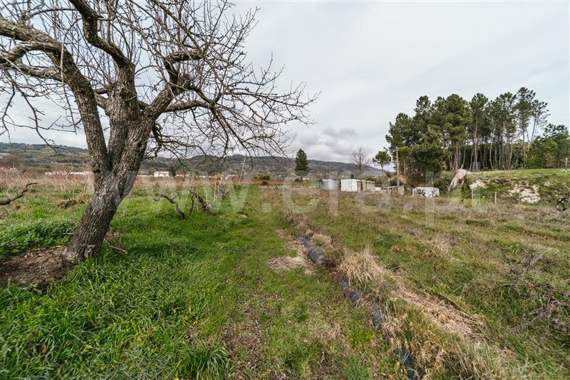 Terreno Rústico  com Aprovado Covilhã, Orjais - 1456232 - 34