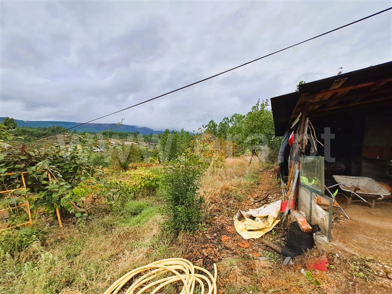 Terreno Rústico  Covilhã, Paul - 1437348 - 17