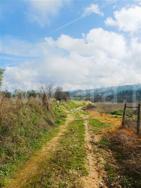 Terreno Rústico  Covilhã, Peraboa - 1464455 - 2