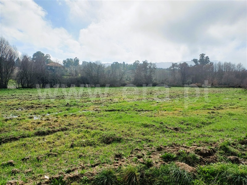 Terreno Rústico  Covilhã, Peraboa - 1464455 - 3