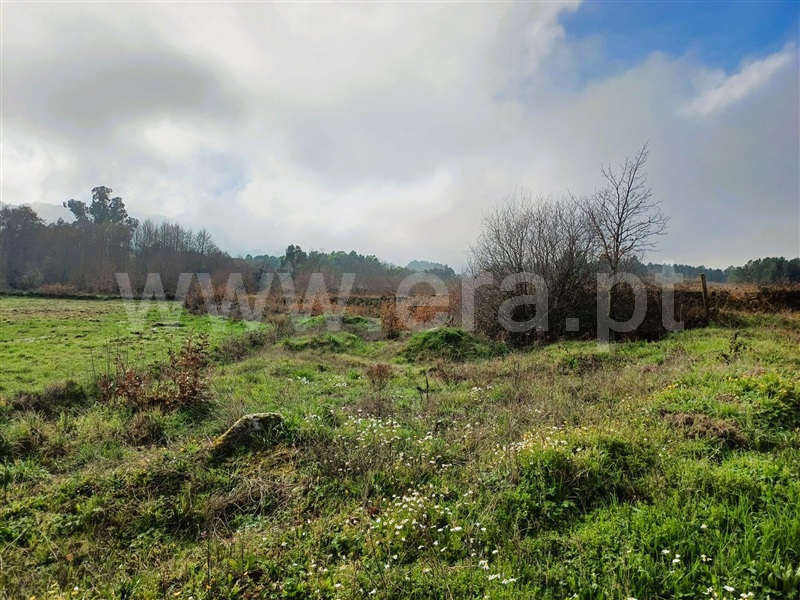 Terreno Rústico  Covilhã, Peraboa - 1464455 - 4