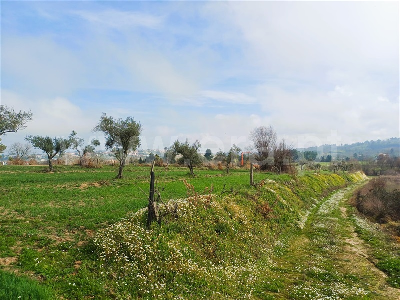 Terreno Rústico  Covilhã, Peraboa - 1464455 - 7