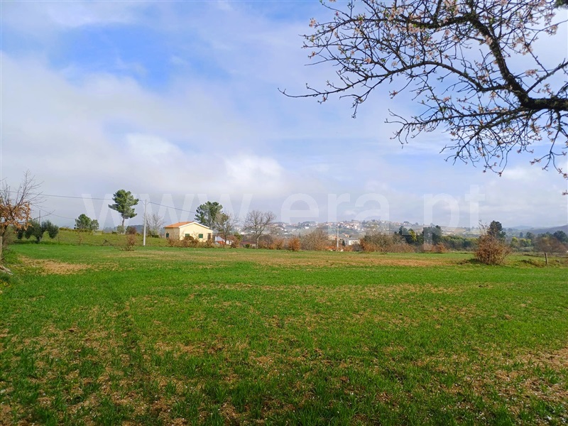 Terreno Rústico  Covilhã, Peraboa - 1464455 - 8