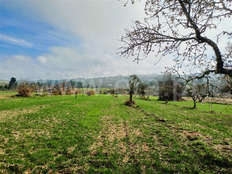 Terreno Rústico  Covilhã, Peraboa - 1464455 - 9