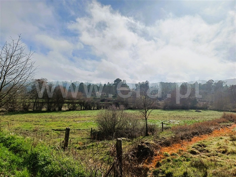 Terreno Rústico  Covilhã, Peraboa - 1464455 - 13