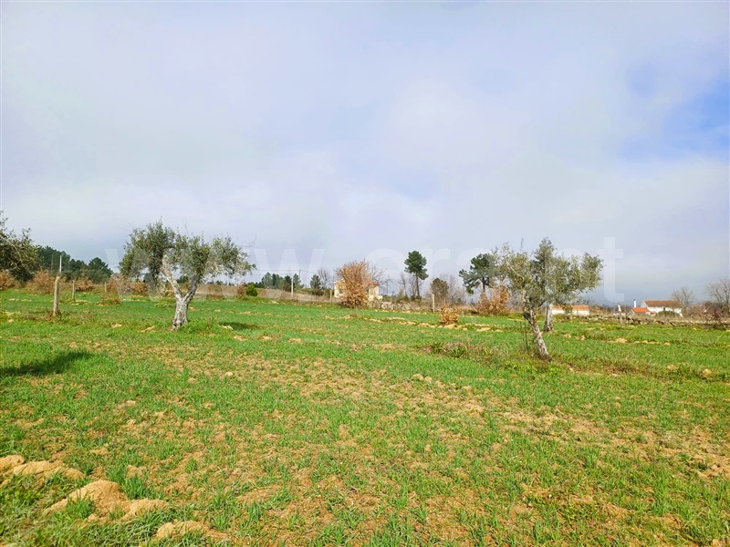 Terreno Rústico  Covilhã, Peraboa - 1464455 - 14