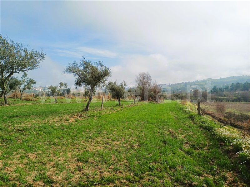 Terreno Rústico  Covilhã, Peraboa - 1464455 - 16